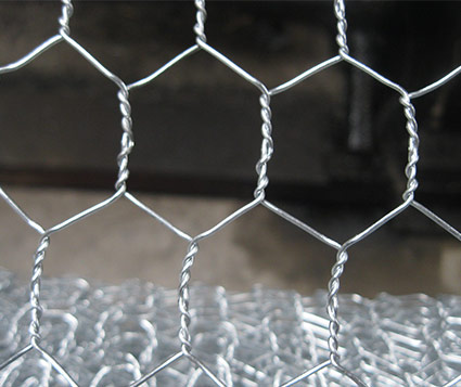 Hexagonal Wire Netting