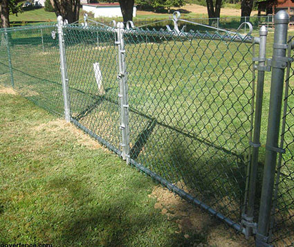 Wire chain link fence