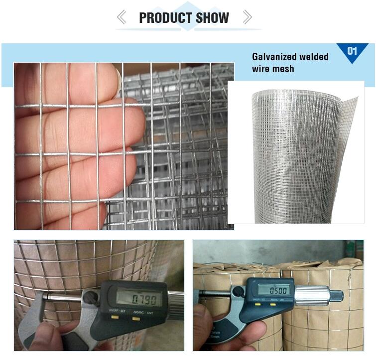 Galvanized Welded Mesh