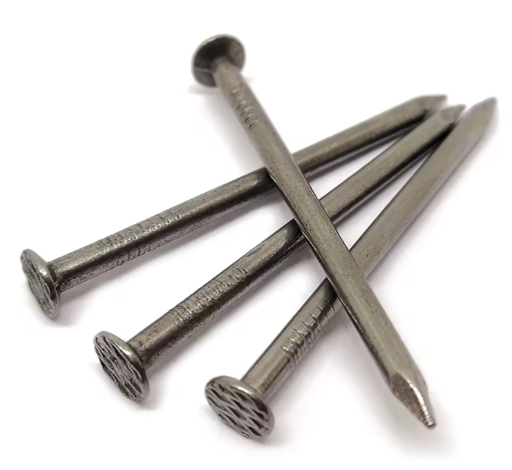 Common Iron Nail