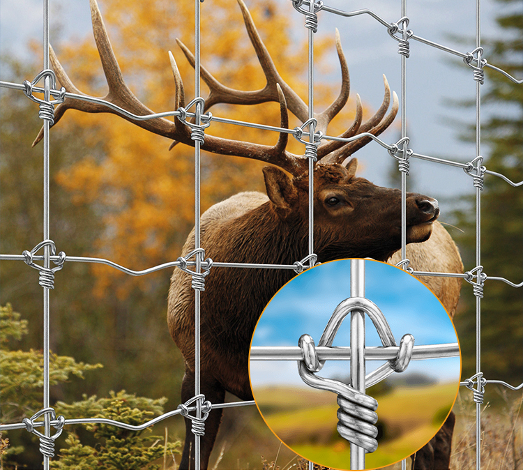 Deer fence